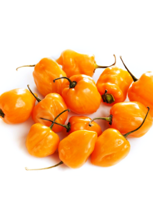Chiles habaneros frais