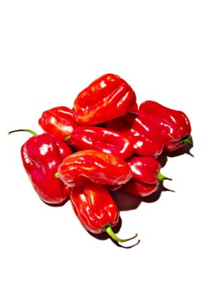 Habaneros frais Aztek
