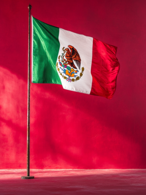 Drapeaux Mexicains-Banderas Mexicanas