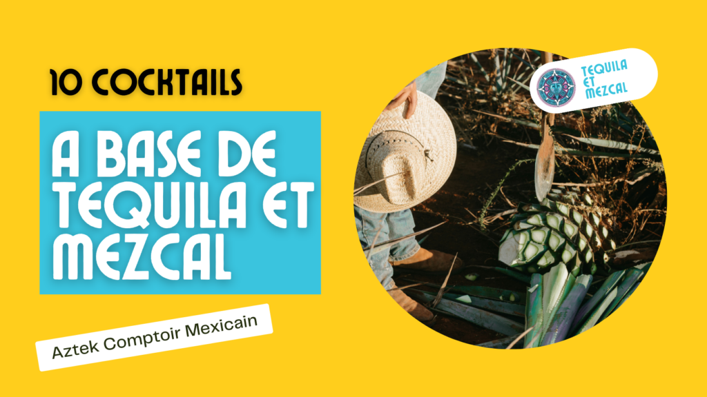 idées recettes tequila mezcal